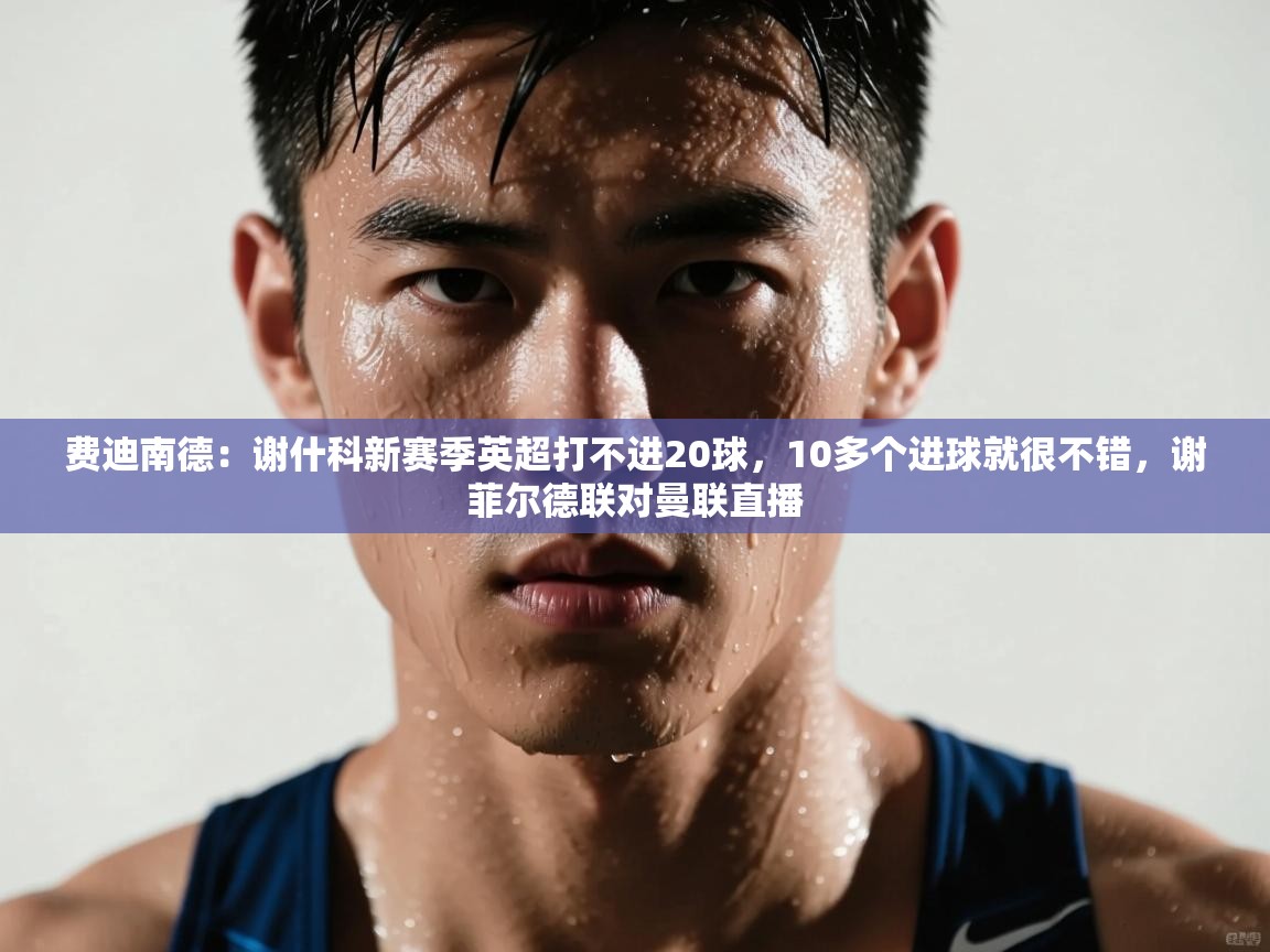 爱游体育直播-费迪南德:谢什科新赛季英超打不进20球,10多个进球就很不错,谢菲尔德联对曼联直播 第1张