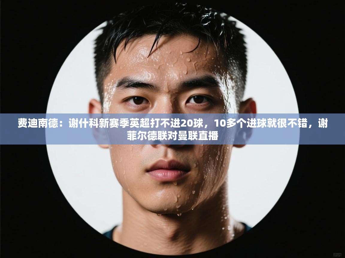 爱游体育直播-费迪南德:谢什科新赛季英超打不进20球,10多个进球就很不错,谢菲尔德联对曼联直播 第2张