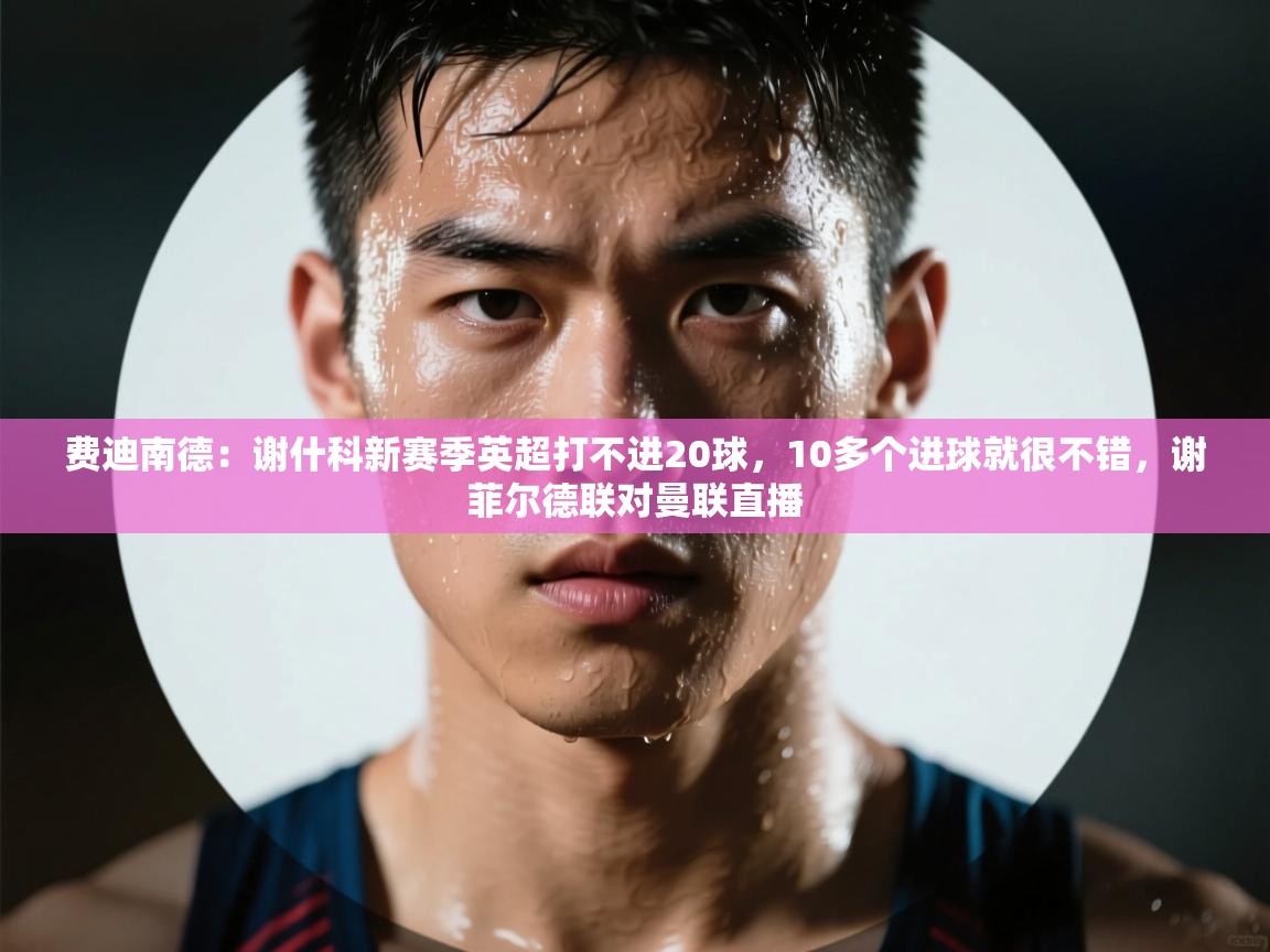 爱游体育直播-费迪南德:谢什科新赛季英超打不进20球,10多个进球就很不错,谢菲尔德联对曼联直播 第3张