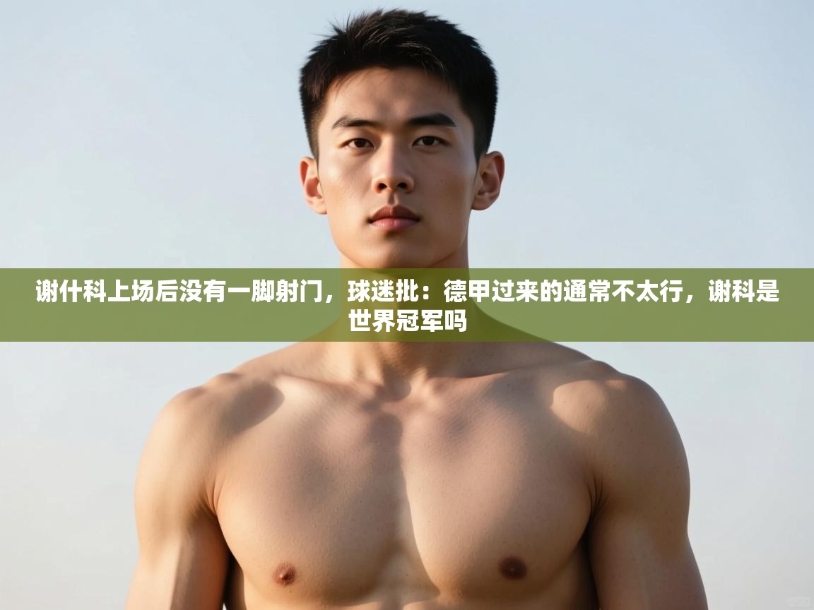 爱游戏体育娱乐-谢什科上场后没有一脚射门,球迷批:德甲过来的通常不太行,谢科是世界冠军吗 第2张