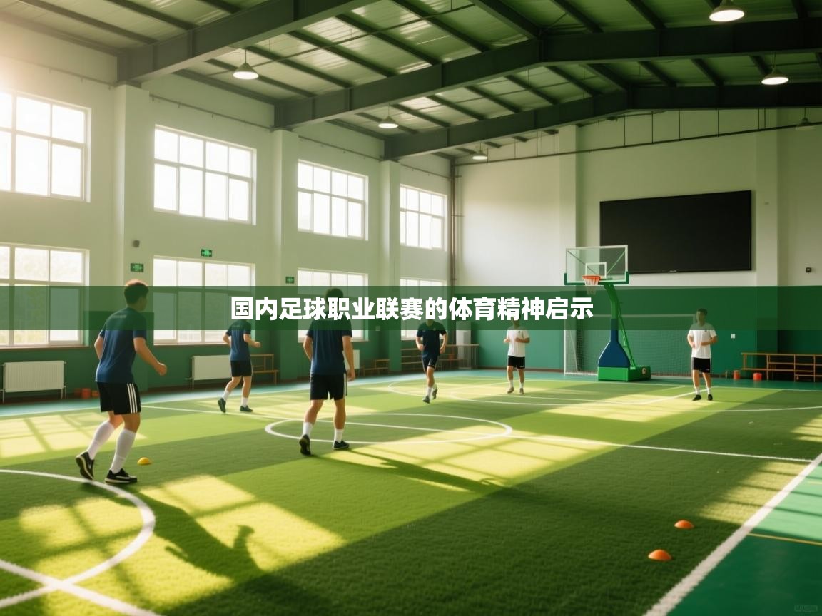 爱游戏体育全站入口-国内足球职业联赛的体育精神启示  第1张