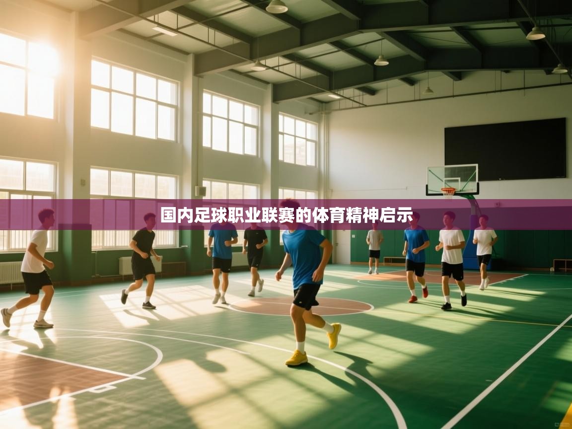 爱游戏体育全站入口-国内足球职业联赛的体育精神启示  第2张