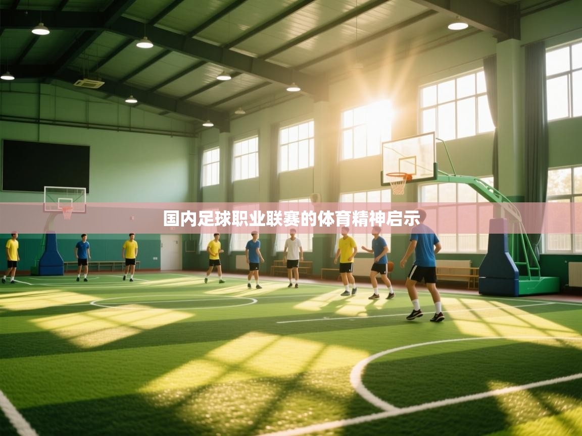 爱游戏体育全站入口-国内足球职业联赛的体育精神启示  第3张