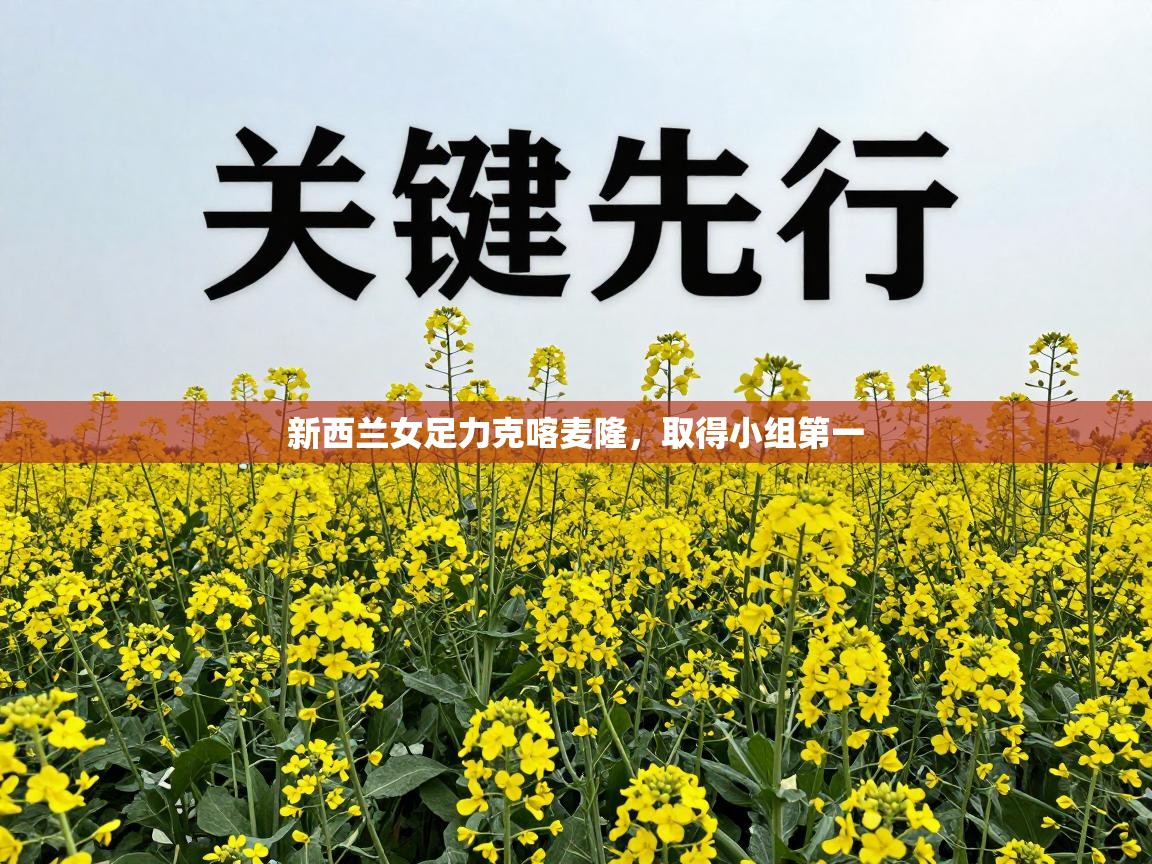 爱游戏体育娱乐罗马赞助商-新西兰女足力克喀麦隆,取得小组第一 第1张