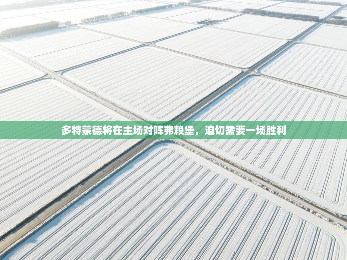 爱游戏体育app-多特蒙德将在主场对阵弗赖堡，迫切需要一场胜利  第1张