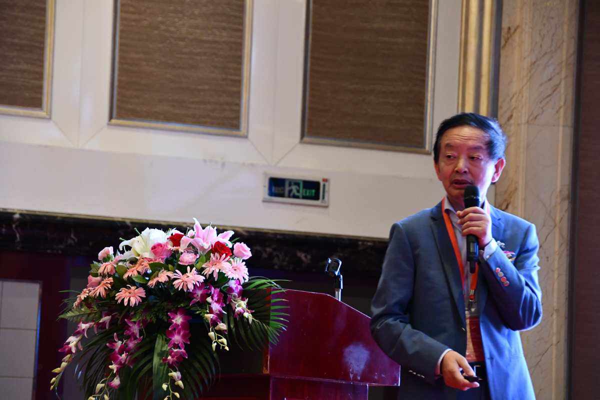 情场老将转战足球领域，挑战职业生涯新高峰